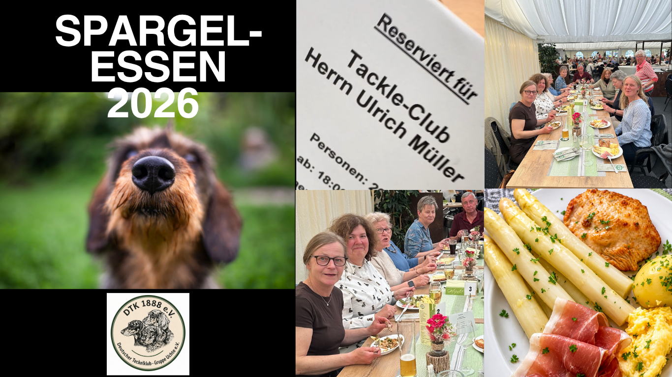 Spargelessen 2026